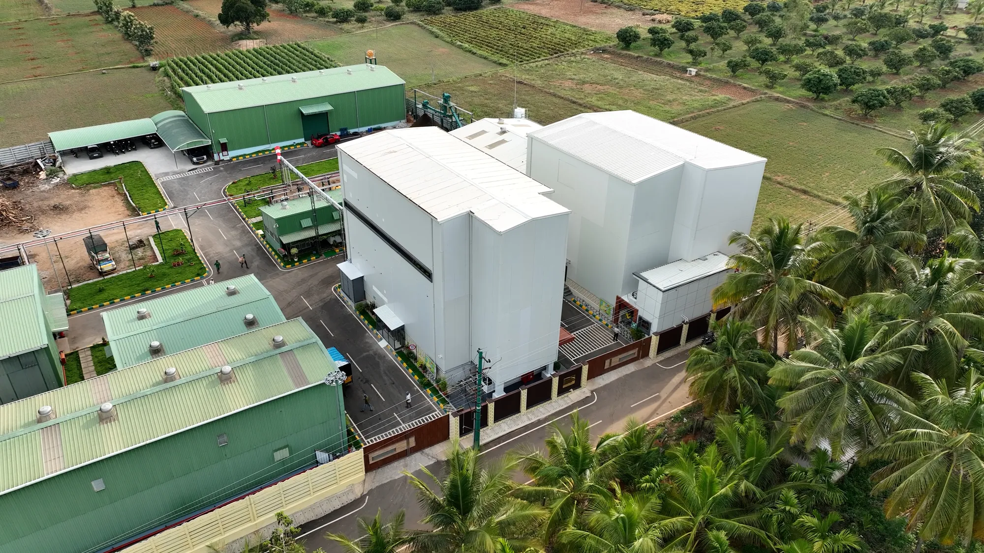 The white extraction and research blocks and green production sheds of the campus, palms in the foreground