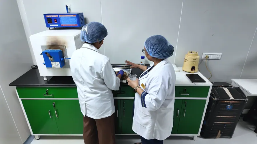 Two scientists at the muffle furnace