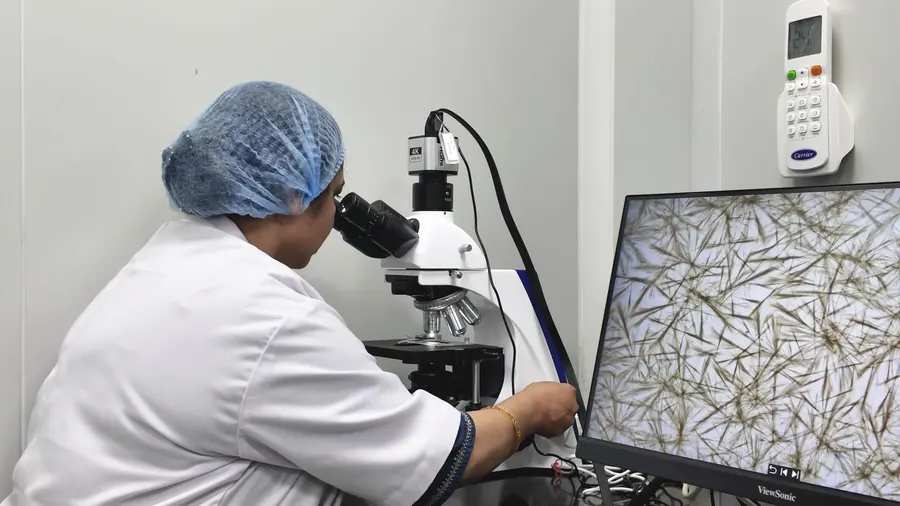 A scientist examining plant tissue under the microscope