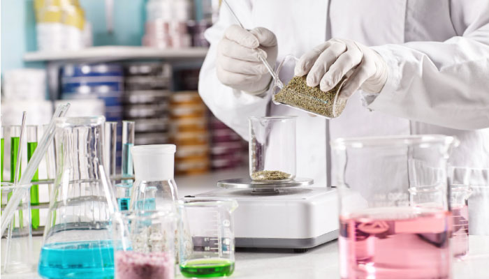 Cocrystal Engineering: Unlocking the Bioavailability Potential of Poorly Soluble Nutraceuticals