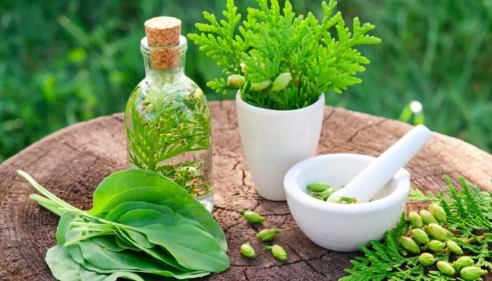 Greenspace Herbs opens US base as global demand surges for ‘Quantum Ayurveda’