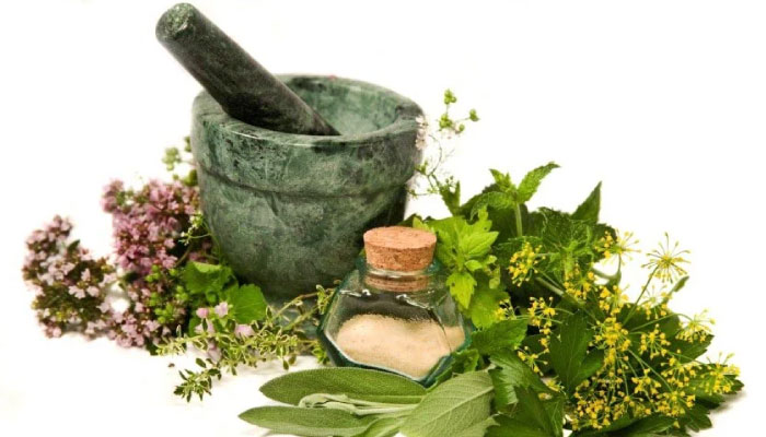 Greenspace Herbs opens New Jersey office