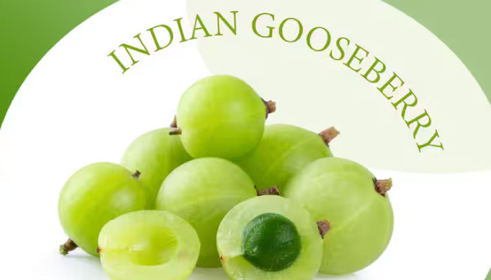 Fresh green Indian gooseberries (amla), a cluster with one cut open showing pale flesh and seed, curved 'INDIAN GOOSEBERRY' text above.