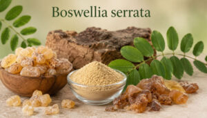 Boswellia serrata (frankincense) resin chunks, powder, and resin pieces on a wooden surface with green leaves in the background